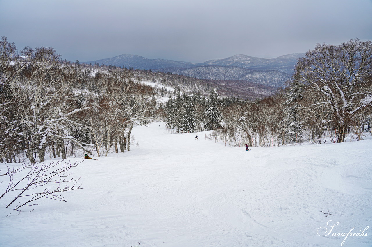 札幌国際スキー場 積雪たっぷり 300cm。コンディション良好なゲレンデでモーグル女子 ・畑田繭さんとコブコブセッション！